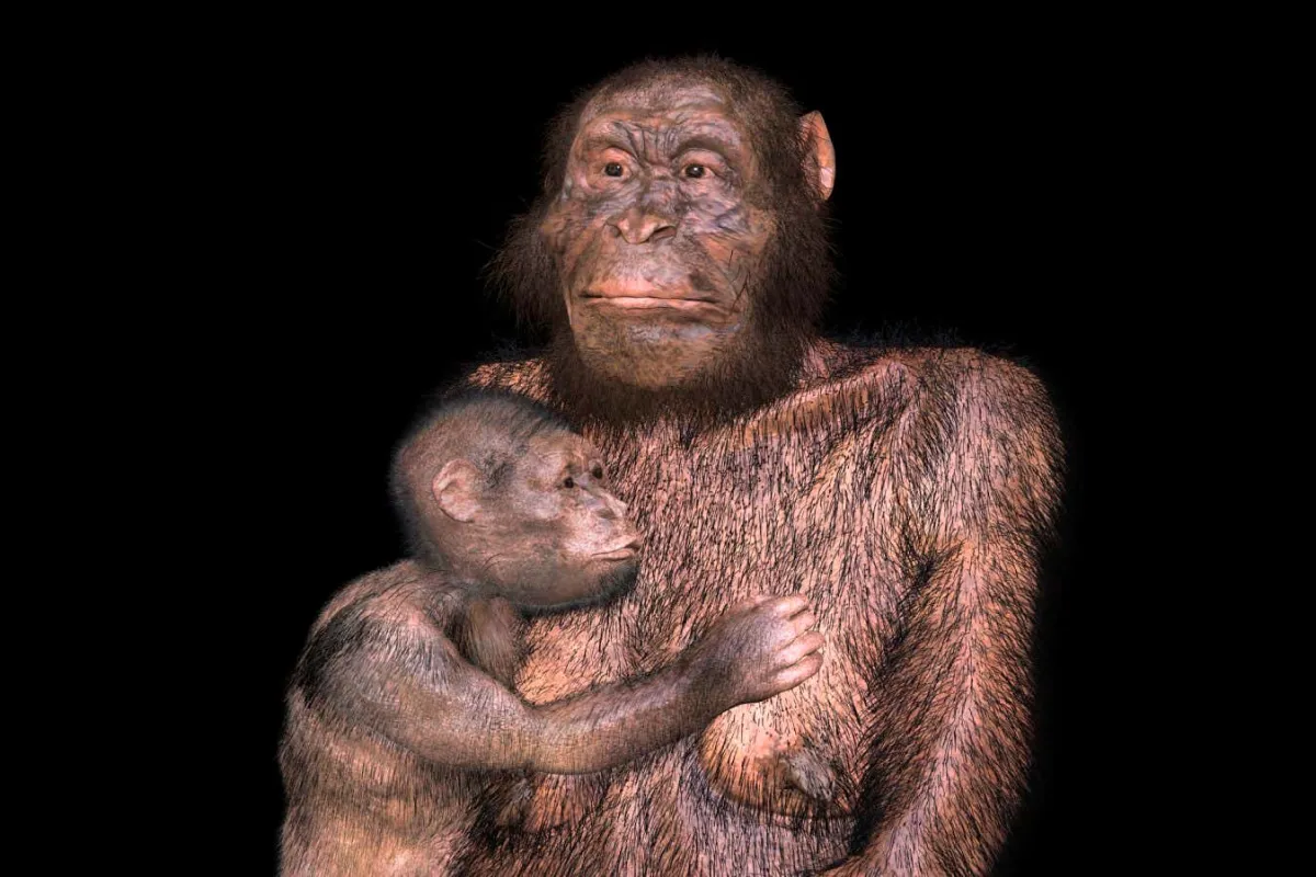 Soyuz Australopithecus Akrabalarımızın Doğumları Zordu