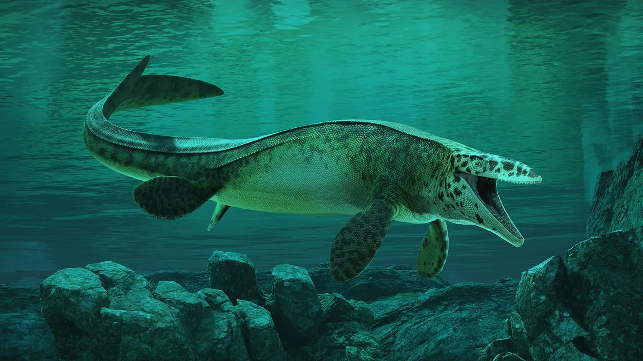 Denizlerin Yeni T-Rex'i: Kafatası Kıran Dev Keşfedildi