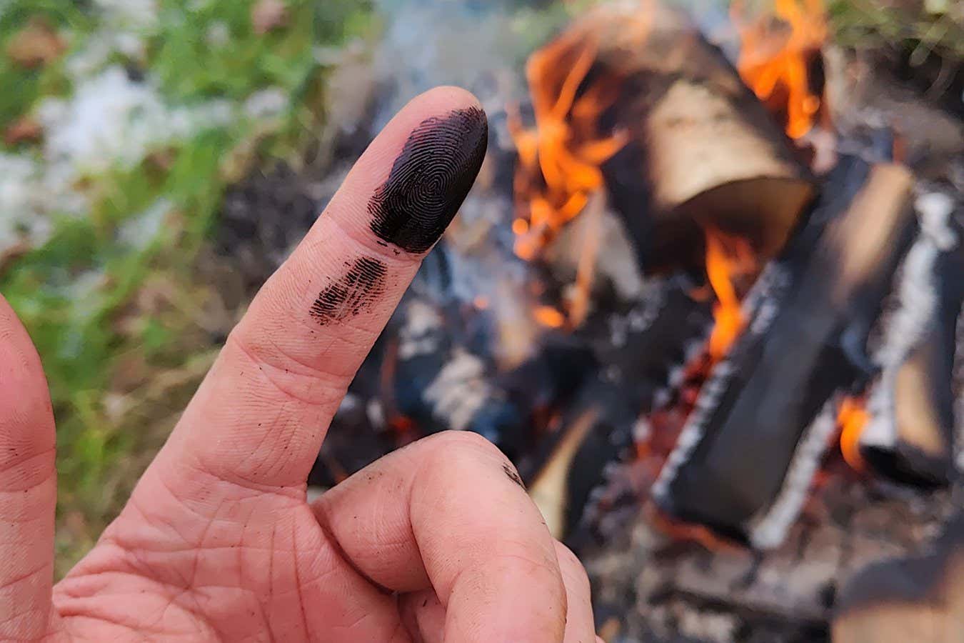 Neanderthals may have treated wounds with antibiotic sticky tar