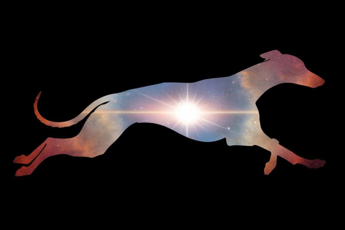 Esrarlı Whippet Uzay Patlaması: Çeşidinin En Parlak Olayı