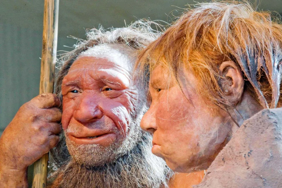 Neanderthalların Yok Oluşu: Soğuk Hava ve Genetik Çeşitlilik