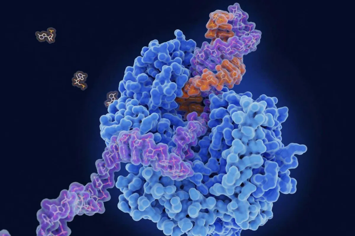 Çok Amaçlı Antiviral Hap Virüsleri Yenebilir