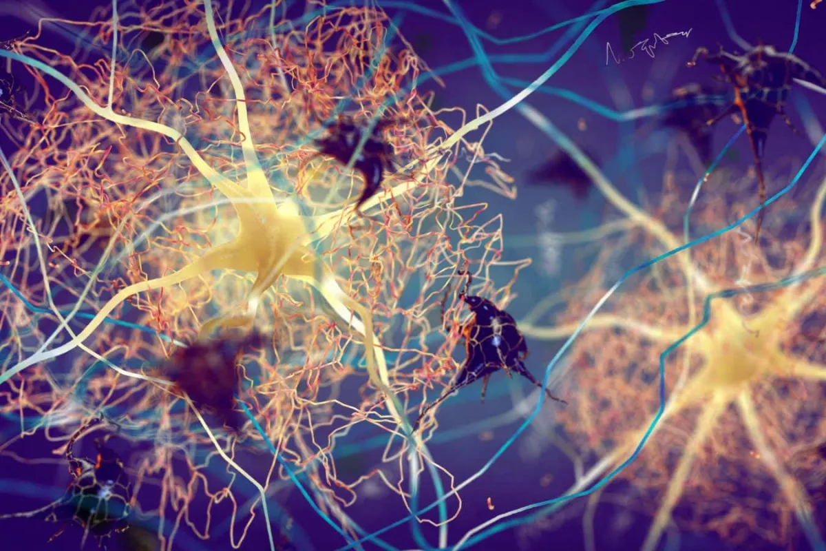 Alzheimer Hastalığı Ciltte, Akciğerde veya Bağırsakta Başlayabilir