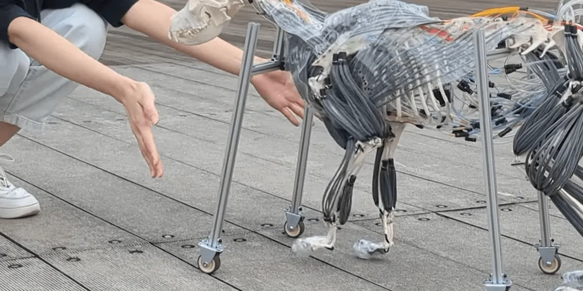 Robot Köpek Kaslarını Gösterişli Bir Şekilde Sergiliyor