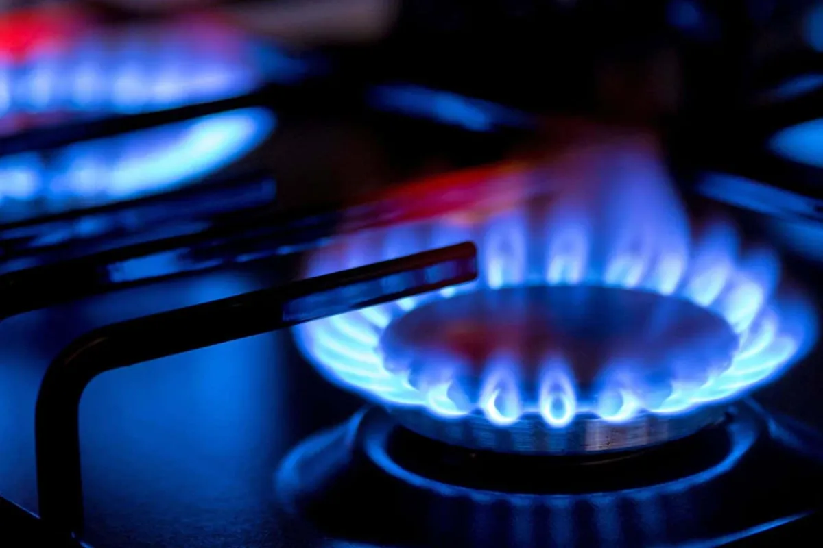 Gaz Ocağından Tehlikeli Benzen Sızıntısı: 10 Evde Birinde Yüksek Seviyede Bulundu