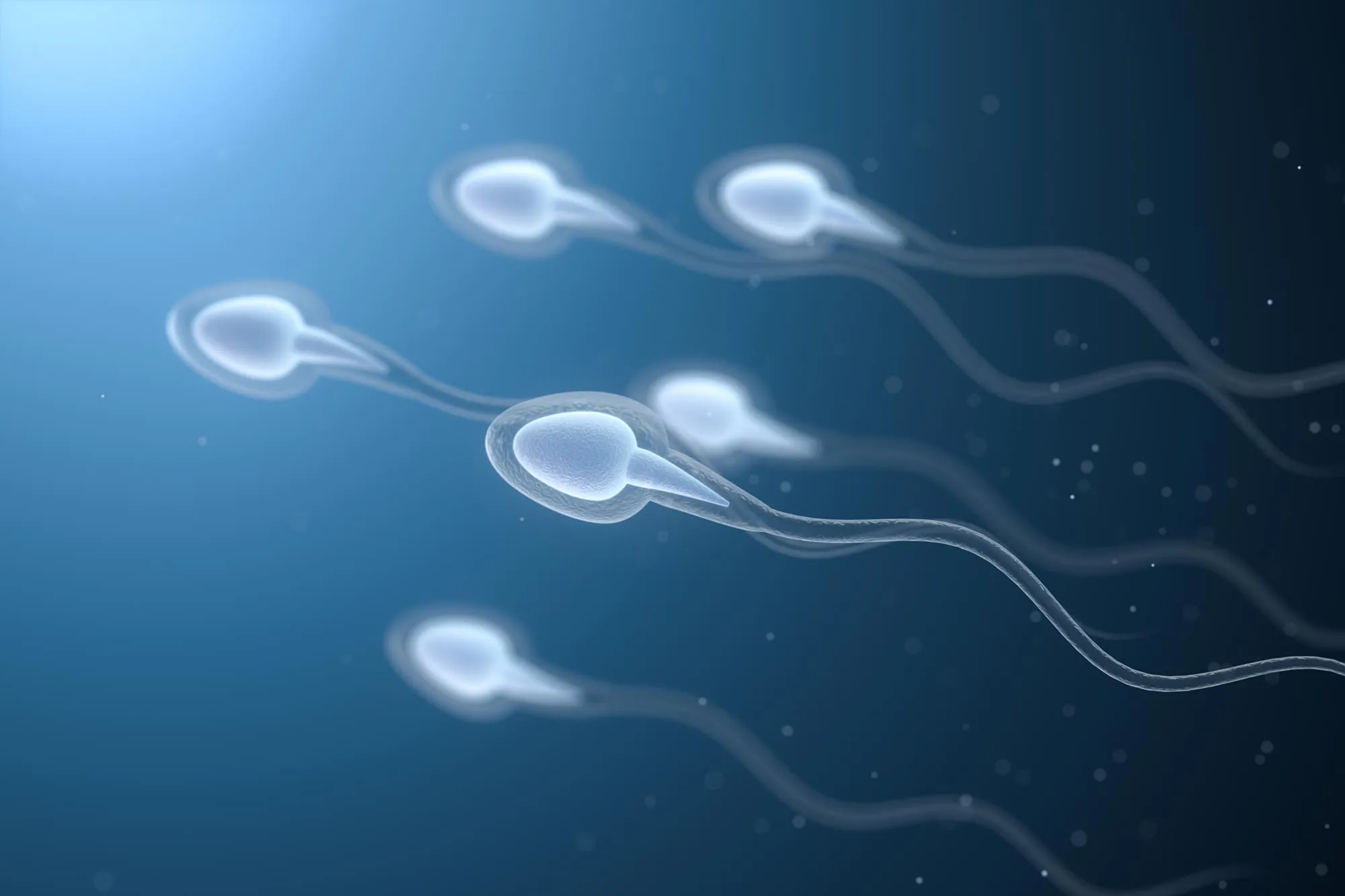 Bilim Dünyasında Şok: Spermler Fizik Yasalarını Altüst Etti