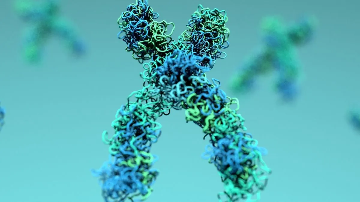 Yaşlanmaya Bağlı DNA Hasarı Geri Döndürülebilir mi?