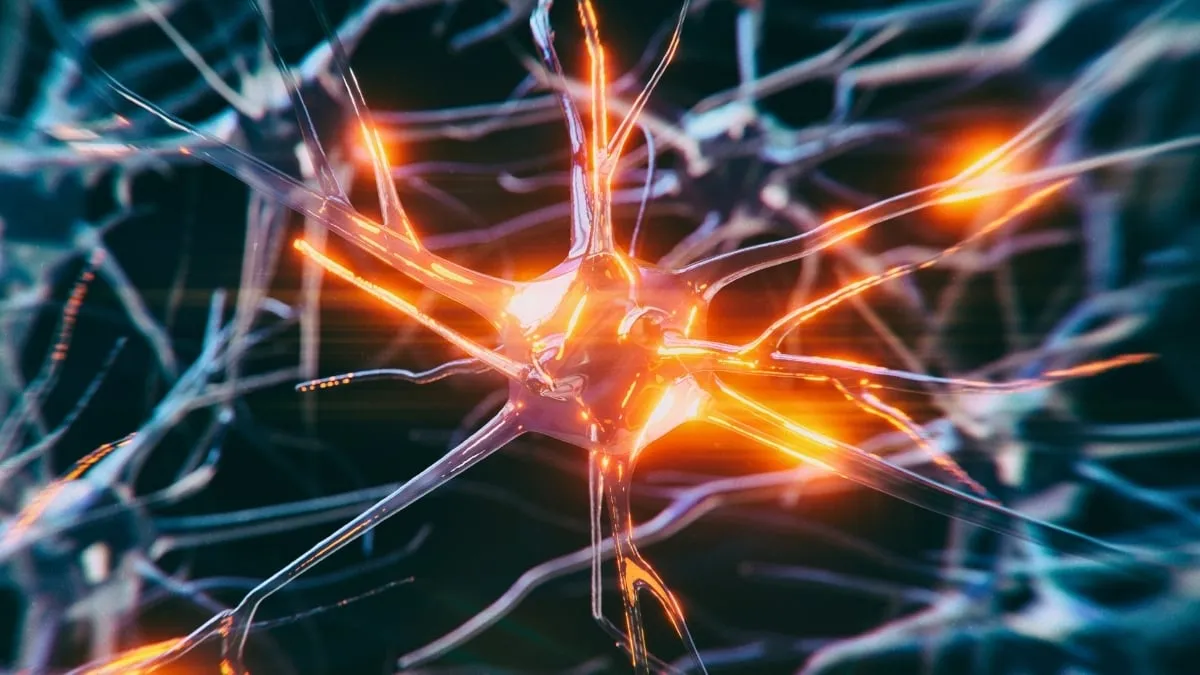 Alzheimer Belirtileri 45 Yaşına Kadar Ortaya Çıkabiliyor