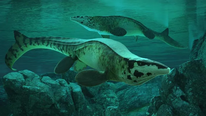 Denizlerin T-Rex'i: 80 Milyon Yıl Önce Okyanuslara Mosasaur Hükmediyordu