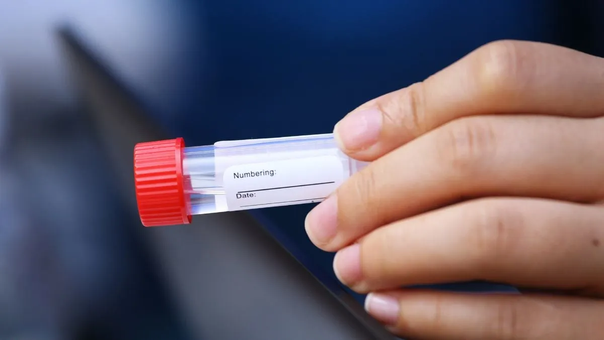 DNA Çalışması Ortaya Çıkardı: Birçok Kişi İlk ABD Kolonistleriyle Bağlantılı